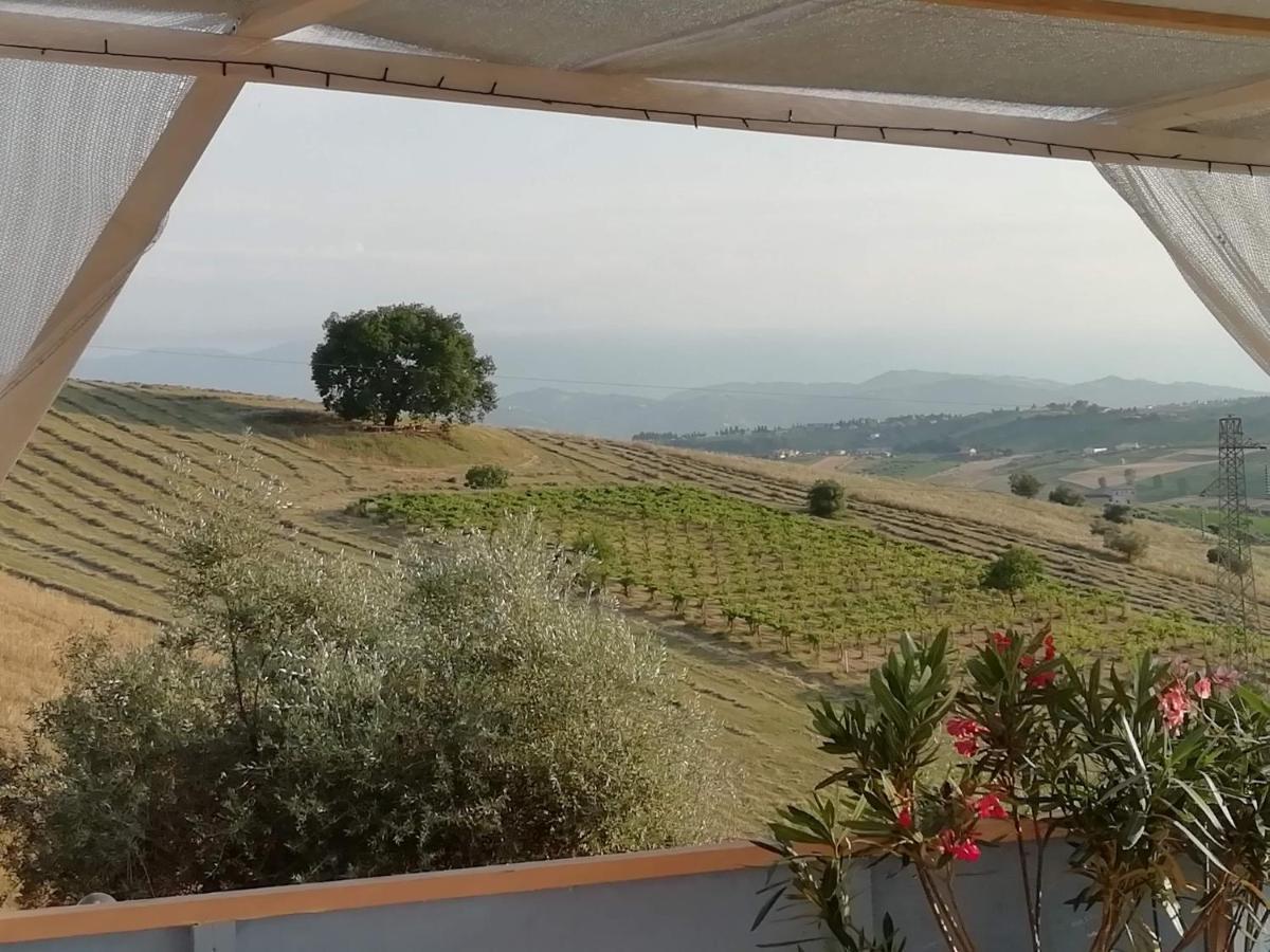 רוזטו דליי אברוצי B&B Gli Amici Del Tubarello מראה חיצוני תמונה