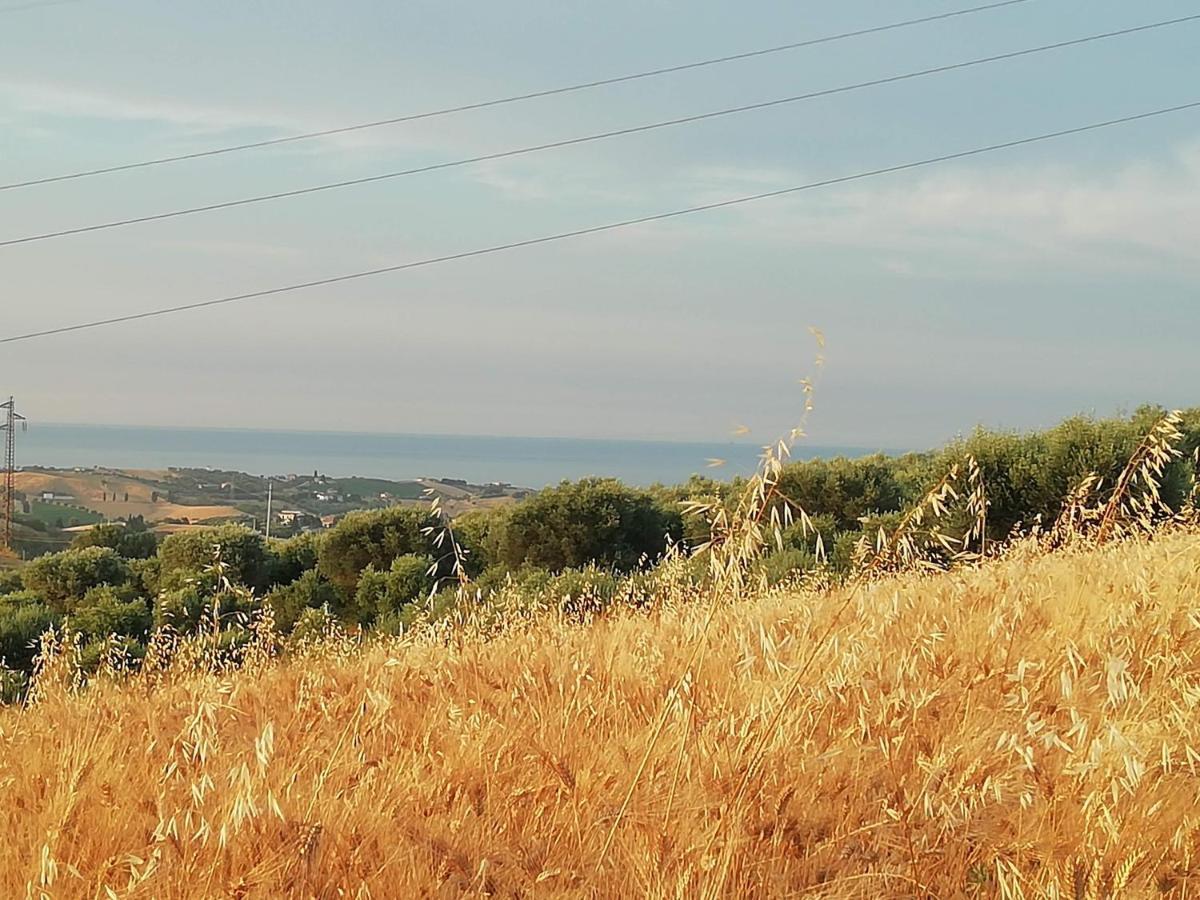 רוזטו דליי אברוצי B&B Gli Amici Del Tubarello מראה חיצוני תמונה